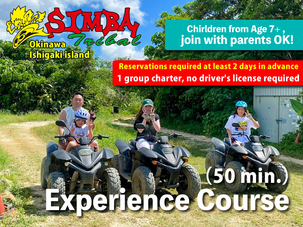 Buggy Experience Activities on Naha・Ishigaki Island - SIMBA Tribal