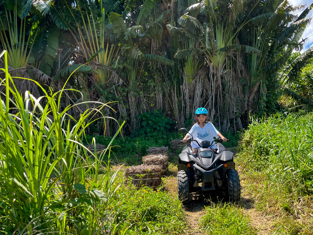 Students between the ages of 11 ～18 years old and over 140cm tall are allowed to ride alone.